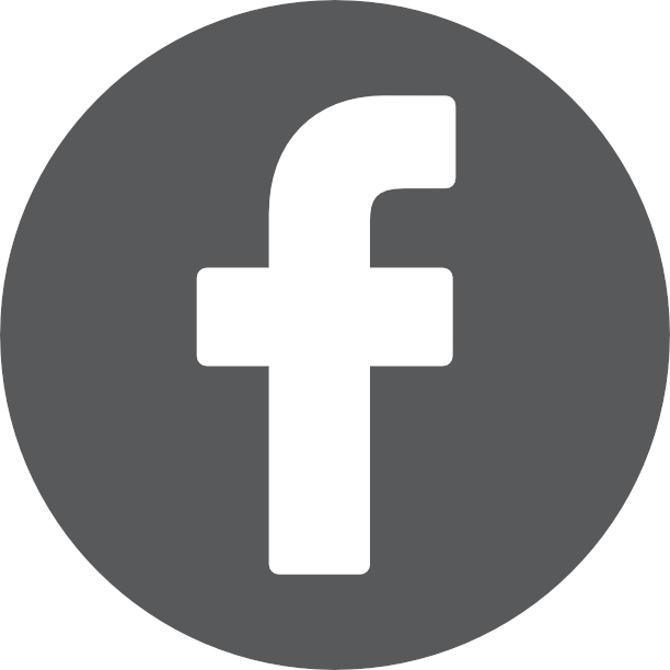 facebook logo gris