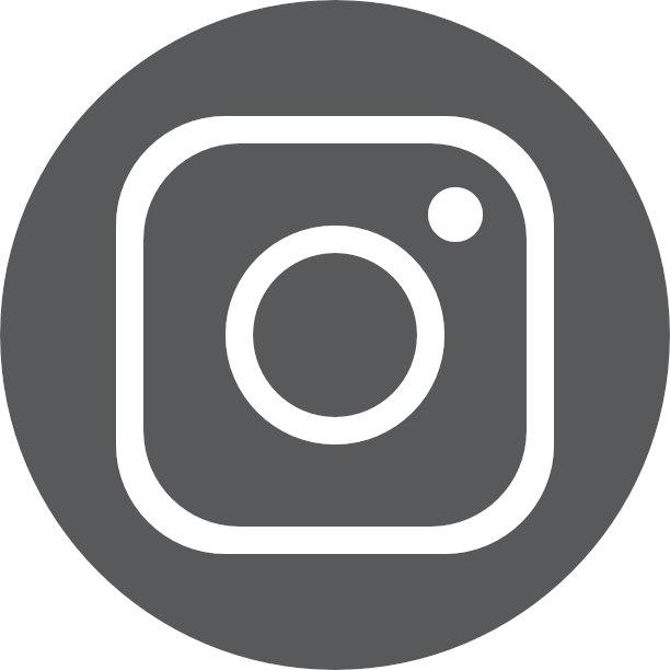 instagram logo gris